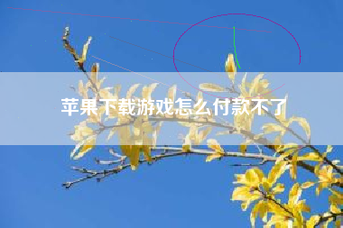 苹果下载游戏怎么付款不了