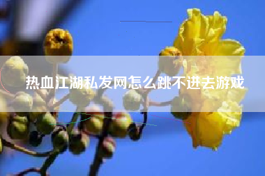 热血江湖私发网怎么跳不进去游戏