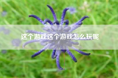 这个游戏这个游戏怎么玩呢