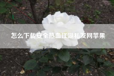 怎么下载安全热血江湖私发网苹果