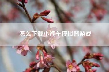 怎么下载小汽车模拟器游戏
