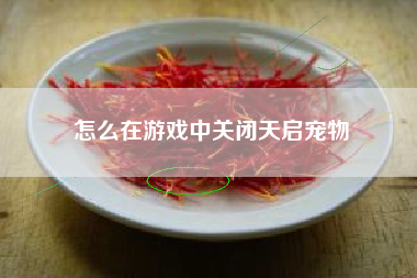 怎么在游戏中关闭天启宠物