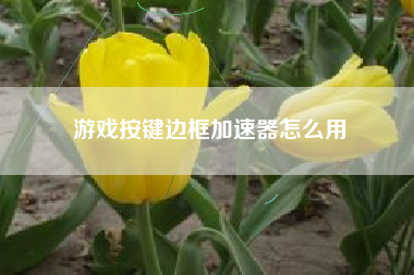 游戏按键边框加速器怎么用