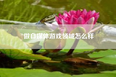 做自媒体游戏领域怎么样