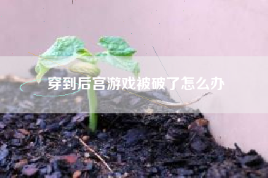 穿到后宫游戏被破了怎么办