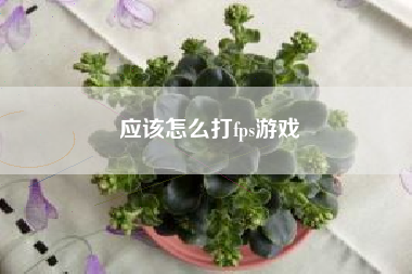 应该怎么打fps游戏
