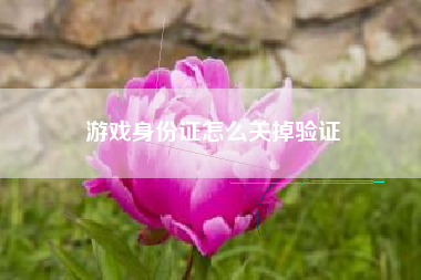 游戏身份证怎么关掉验证