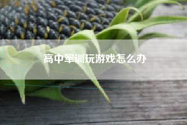 高中军训玩游戏怎么办