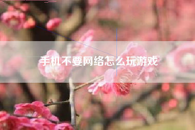 手机不要网络怎么玩游戏