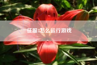 征服3怎么运行游戏