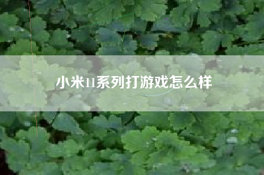 小米11系列打游戏怎么样
