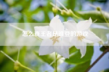 怎么查王者是谁登的游戏