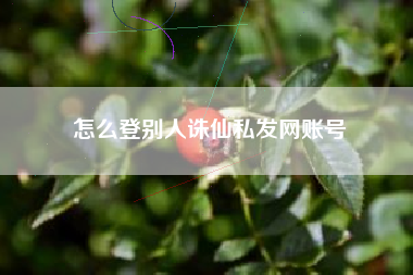 怎么登别人诛仙私发网账号