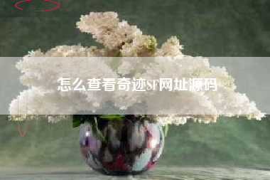 怎么查看奇迹SF网址源码