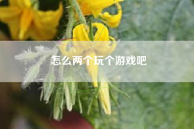 怎么两个玩个游戏吧