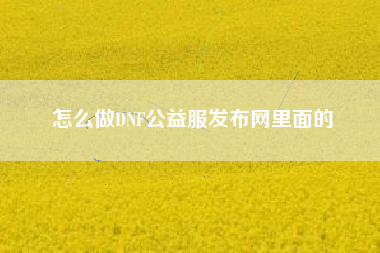 怎么做DNF公益服发布网里面的