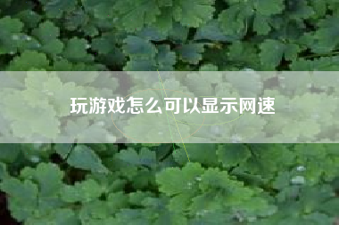 玩游戏怎么可以显示网速