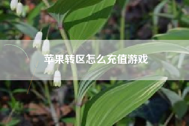 苹果转区怎么充值游戏