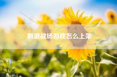 刺激战场游戏怎么上架