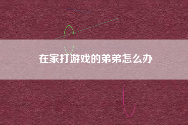 在家打游戏的弟弟怎么办
