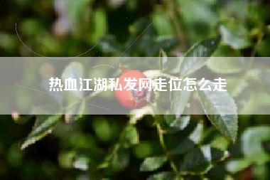 热血江湖私发网走位怎么走