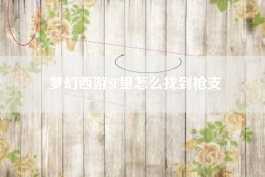 梦幻西游SF里怎么找到枪支