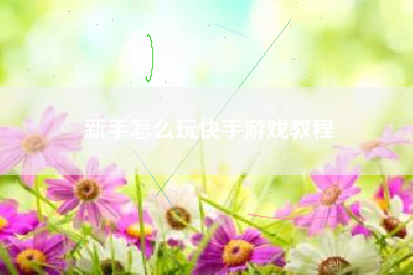 新手怎么玩快手游戏教程
