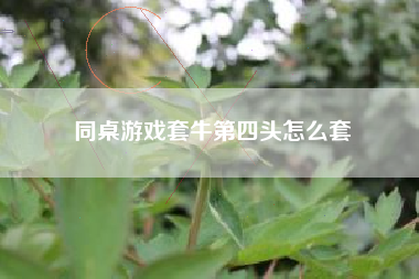 同桌游戏套牛第四头怎么套