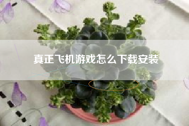 真正飞机游戏怎么下载安装