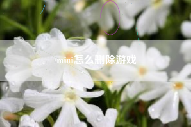 mini怎么删除游戏