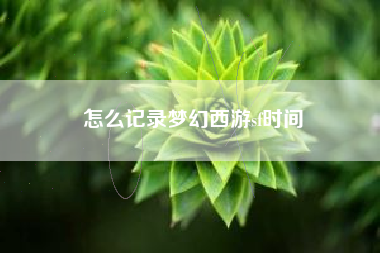 怎么记录梦幻西游sf时间