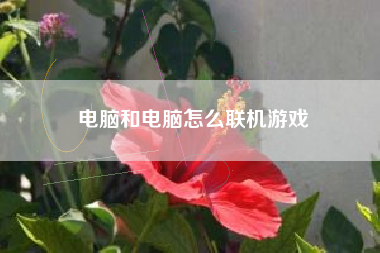 电脑和电脑怎么联机游戏
