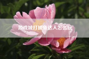 游戏城打捕鱼达人怎么玩