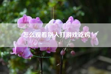 怎么观看别人打游戏吃鸡