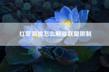 红警游戏怎么解除联盟限制