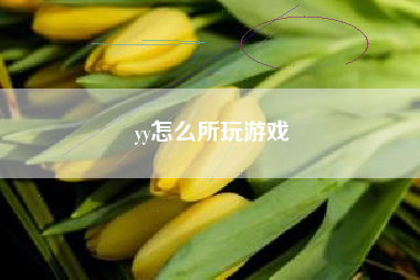 yy怎么所玩游戏