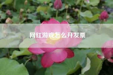 网红游戏怎么开发票