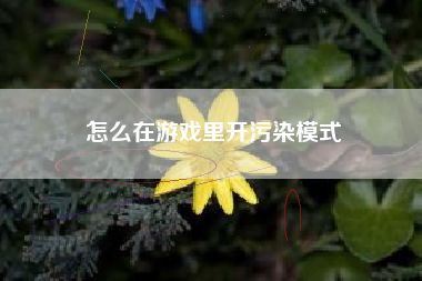 怎么在游戏里开污染模式