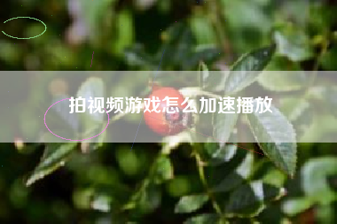 拍视频游戏怎么加速播放