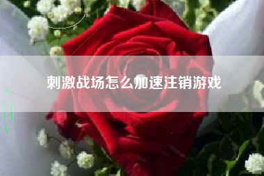 刺激战场怎么加速注销游戏