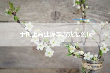 手机上高速停车游戏怎么玩