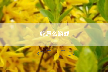 蛇怎么游戏