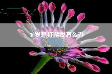 30岁想打游戏怎么办