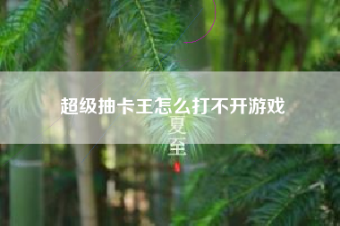 超级抽卡王怎么打不开游戏