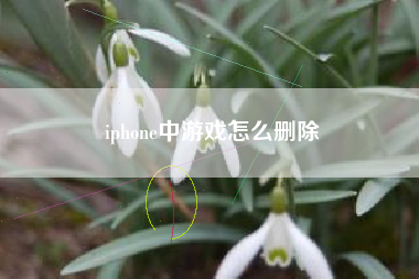 iphone中游戏怎么删除