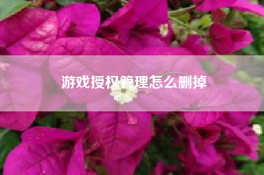 游戏授权管理怎么删掉