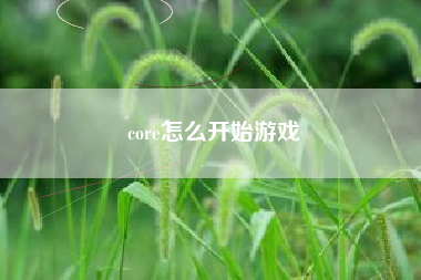 core怎么开始游戏