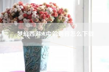 梦幻西游SF中的语音怎么下载