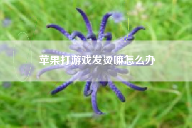 苹果打游戏发烫嘛怎么办