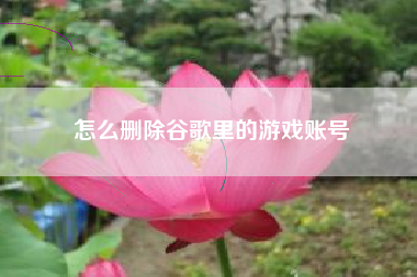 怎么删除谷歌里的游戏账号